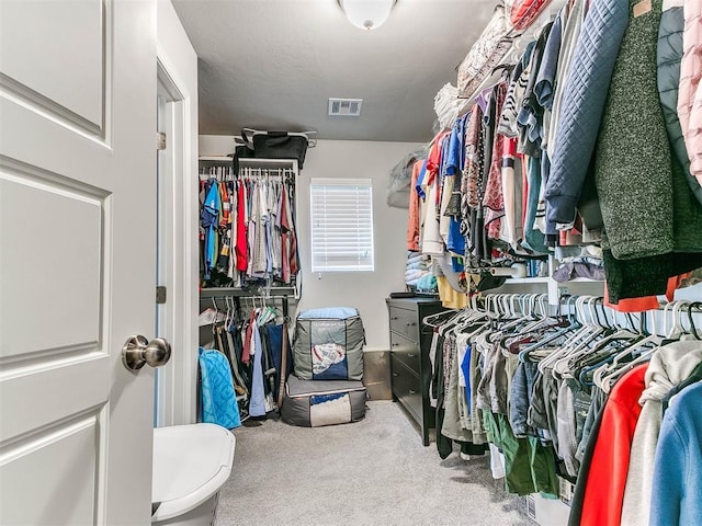 spacious closet with carpet floors