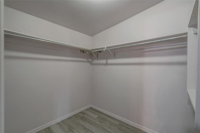 walk in closet with hardwood / wood-style flooring