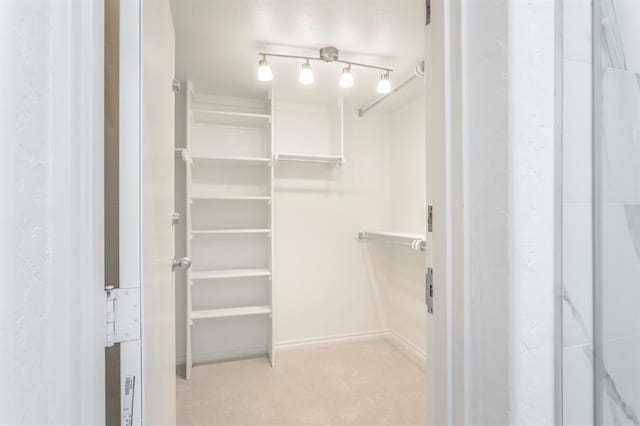 spacious closet with light colored carpet