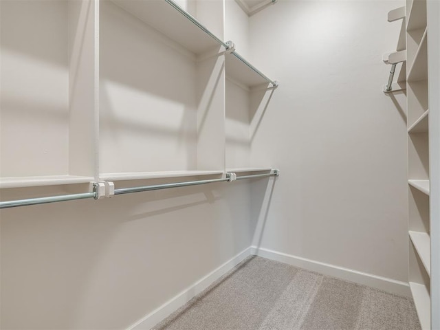 spacious closet with light carpet