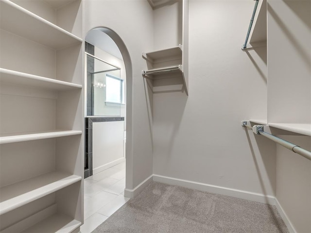 walk in closet with light colored carpet