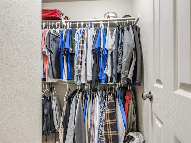 view of walk in closet