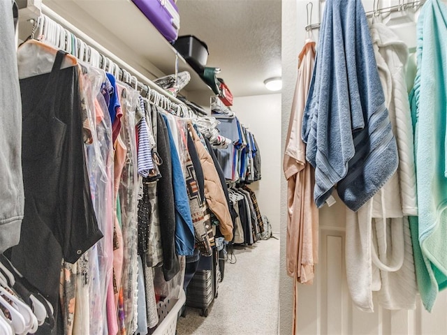 spacious closet featuring carpet flooring