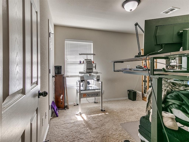 interior space featuring carpet floors