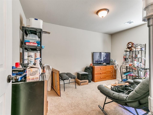 interior space featuring carpet floors