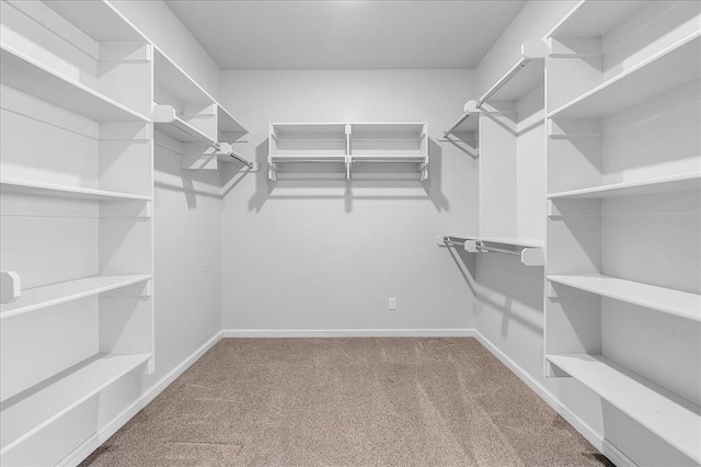 walk in closet featuring carpet