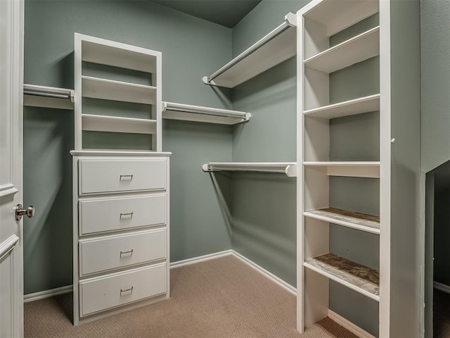 walk in closet featuring light colored carpet