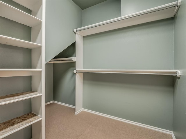 walk in closet with carpet flooring