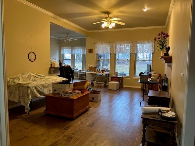 interior space with dark wood-type flooring, ceiling fan, plenty of natural light, and crown molding