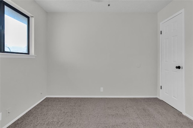 spare room with carpet and a textured ceiling