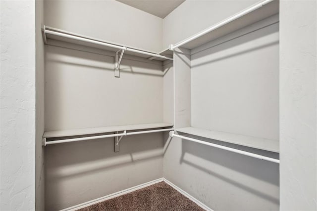 walk in closet with carpet floors