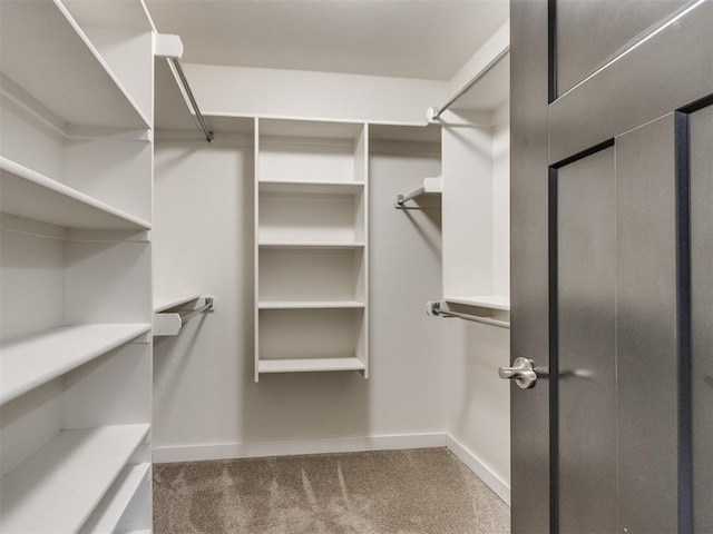 walk in closet featuring carpet floors