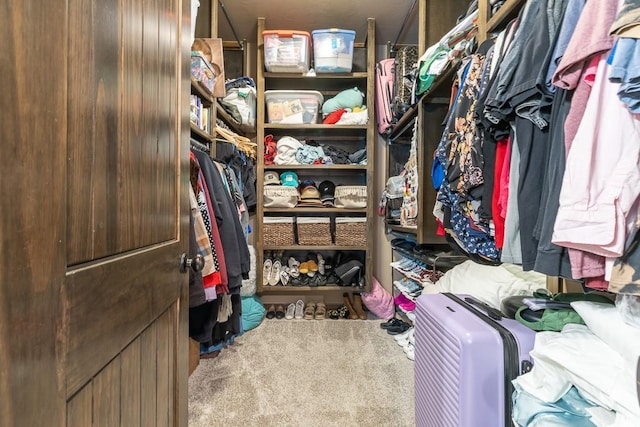 walk in closet with carpet flooring