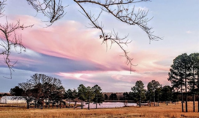 view of nature at dusk