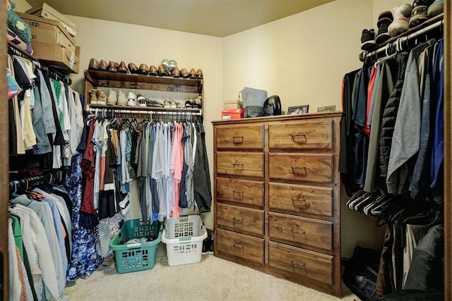 walk in closet with carpet floors