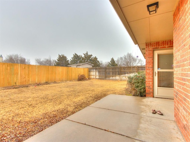 view of yard featuring a patio