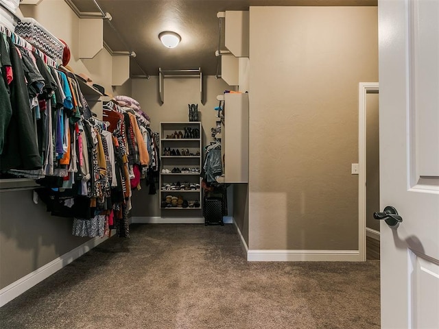 walk in closet featuring dark colored carpet