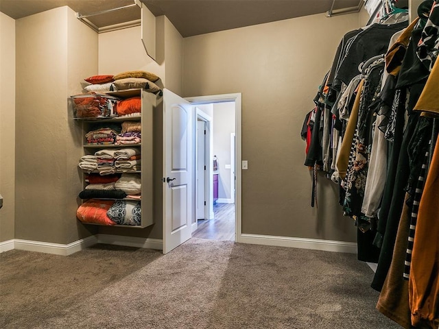 walk in closet with carpet flooring