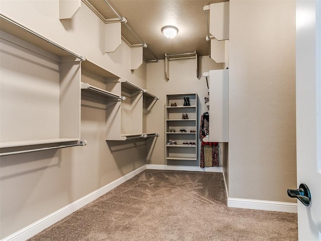 9015 Tall Oaks Dr, Guthrie, OK 73044 - walk in closet with dark colored carpet
