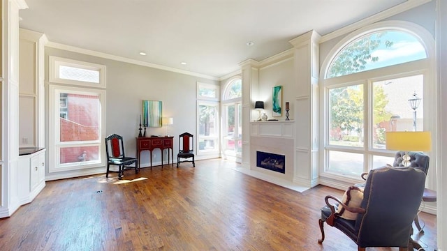 living area featuring crown molding, a healthy amount of sunlight, hardwood / wood-style floors, and a fireplace