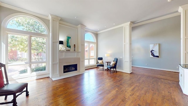 living area featuring dark wood-type flooring and crown molding