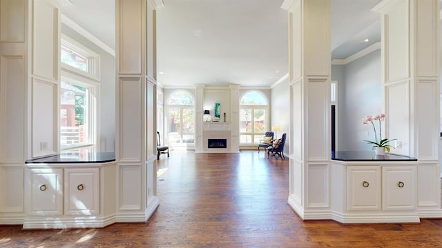 hallway with crown molding, plenty of natural light, and dark hardwood / wood-style flooring