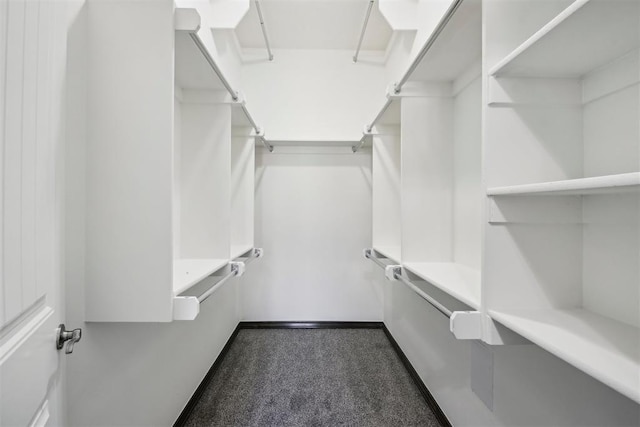 spacious closet with dark carpet