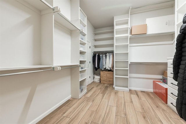 walk in closet featuring wood tiled floor