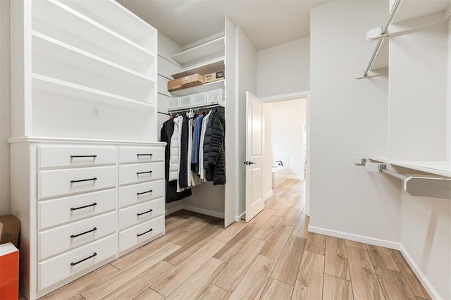 spacious closet featuring wood finish floors