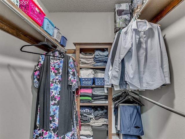 view of walk in closet