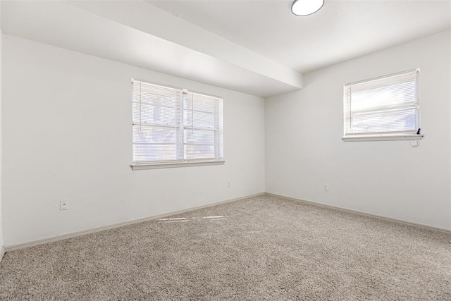 carpeted empty room with a healthy amount of sunlight