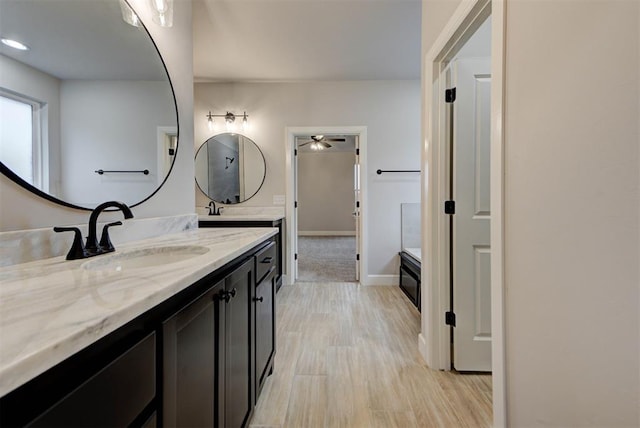 bathroom with hardwood / wood-style flooring and vanity