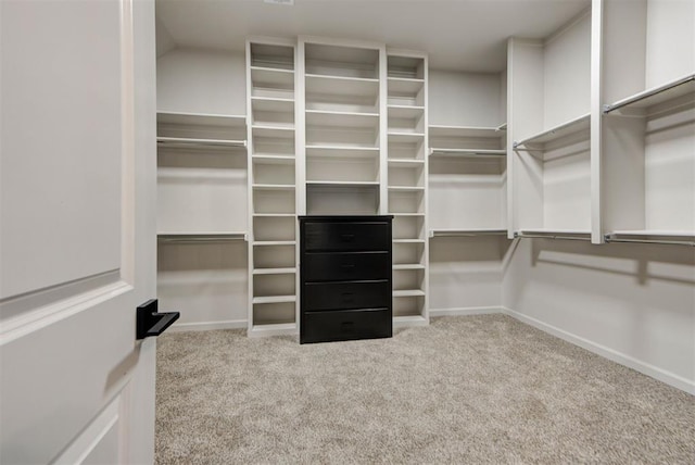 walk in closet with light carpet