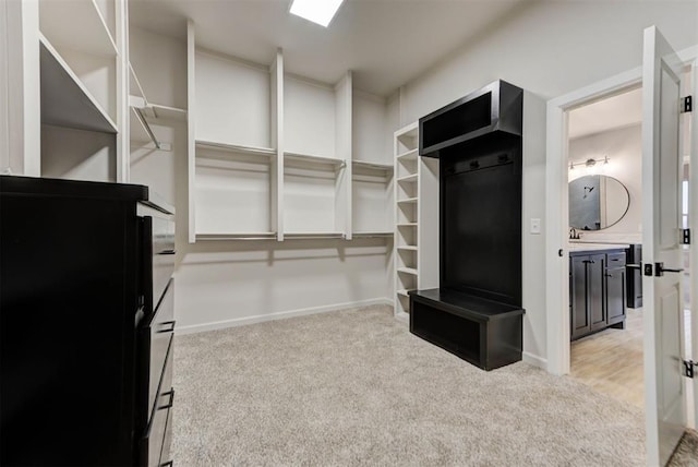 spacious closet featuring light colored carpet