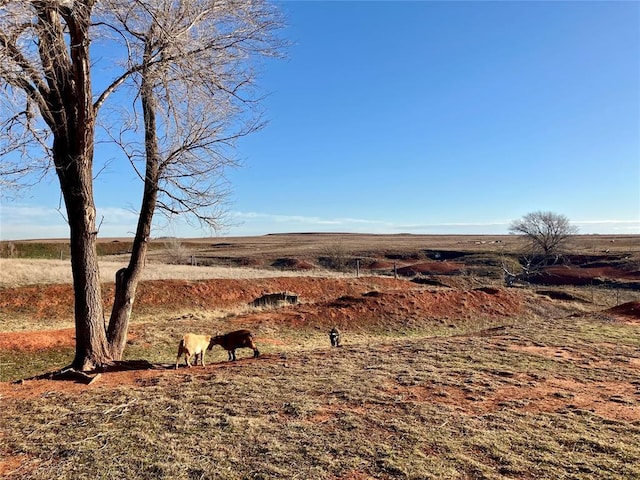 view of landscape featuring a rural view