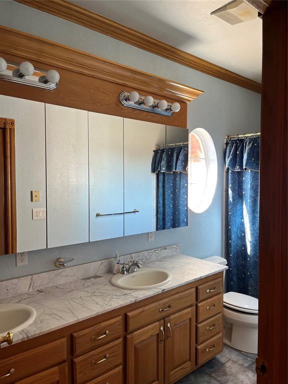 bathroom featuring crown molding, vanity, and toilet