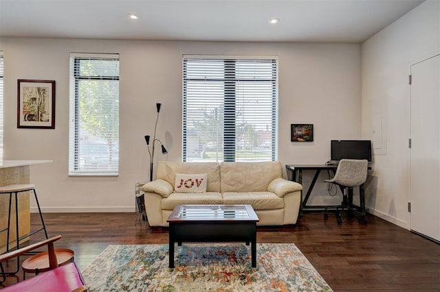 living room featuring dark hardwood / wood-style flooring and a wealth of natural light