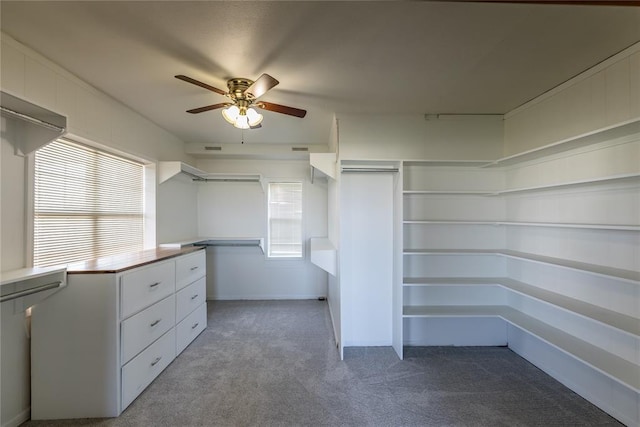 walk in closet with ceiling fan and dark colored carpet