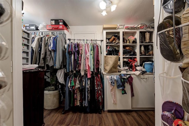 spacious closet featuring dark hardwood / wood-style flooring