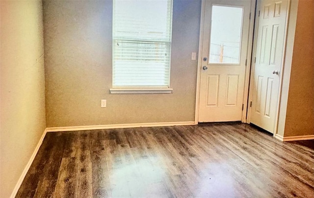 foyer featuring hardwood / wood-style flooring