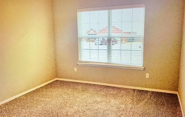 unfurnished room with carpet