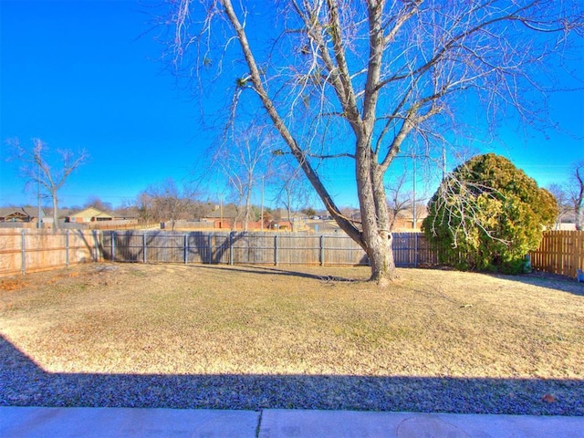720 Cottonwood Dr, Moore, OK 73160 - view of yard