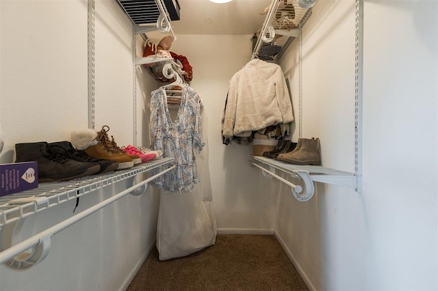 spacious closet featuring carpet