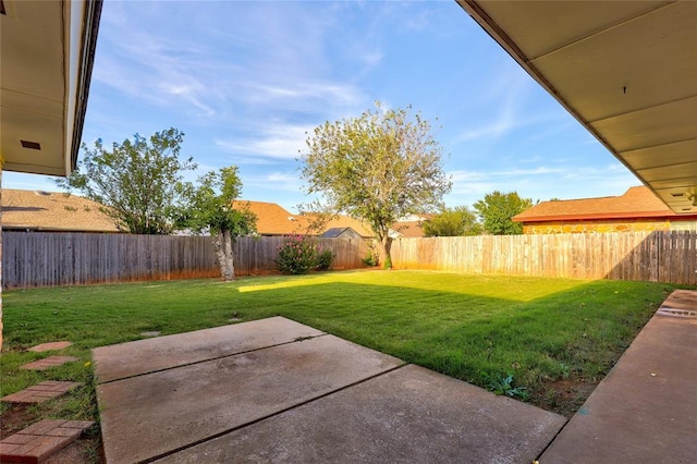 view of yard featuring a patio