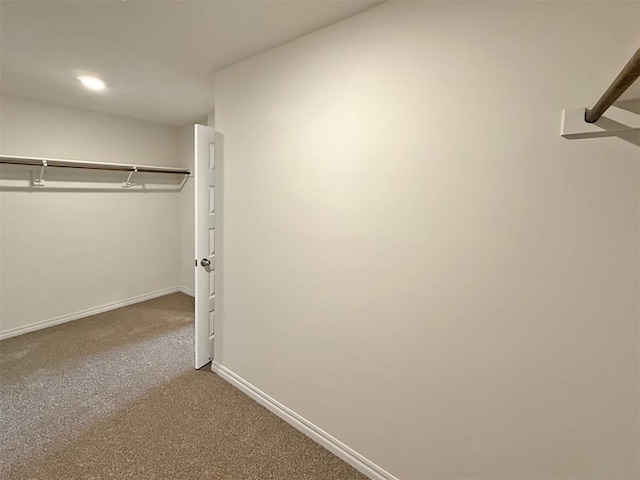 spacious closet featuring carpet