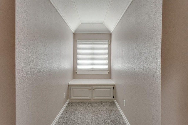 interior space with crown molding and carpet floors