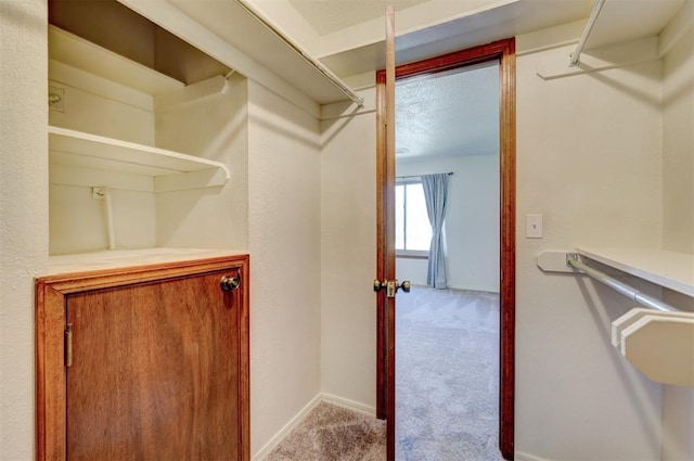 walk in closet featuring light colored carpet