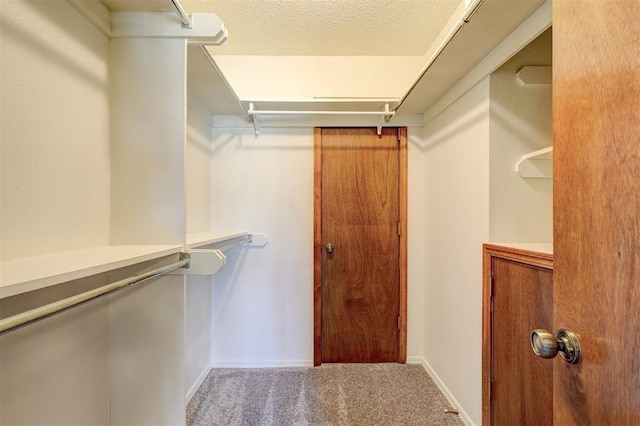 spacious closet with carpet