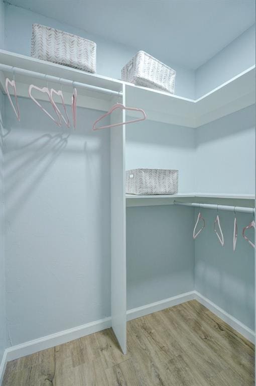 walk in closet with hardwood / wood-style floors