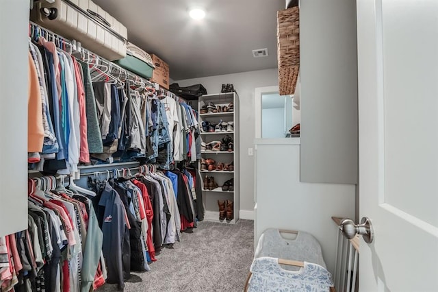 walk in closet featuring carpet flooring